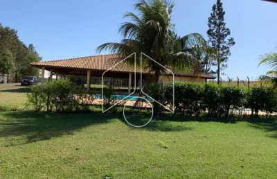 Casa com 3 quartos à venda na Avenida Doutor José Guimarães Toni, 30389, Jardim América, Marília