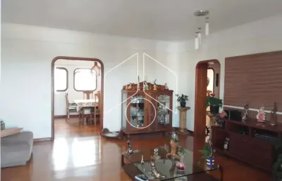 Apartamento com 4 quartos à venda na Sampaio Vidal, 10968, Centro, Marília