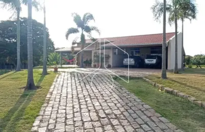Chácara / sítio com 4 quartos à venda na Avenida João Spadoto, Quadra 16, 30298, Sítios de Recreio Santa Rosa (Padre Nóbrega), Marília