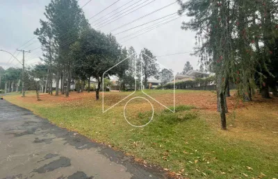 Terreno à venda na Avenida das Grevilhas, 198, Loteamento Residencial Vale do Canaã, Marília