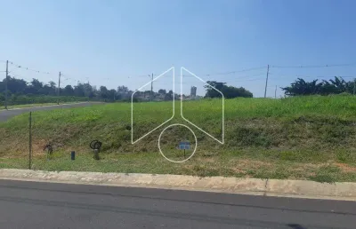Terreno à venda na Rua José Guilherme Miranda, 10684, Jardim Tropical, Marília