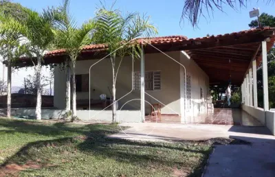 Chácara / sítio com 3 quartos à venda na Rua Dos Tucanos, Km 15, 4129, Área Rural de Marília, Marília