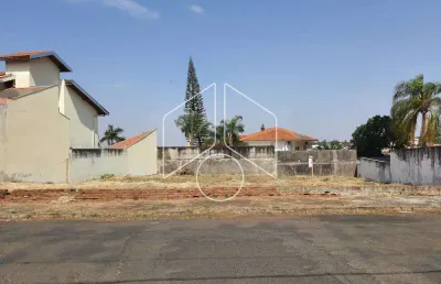 Terreno à venda na Rua Doutor César Martins Pirajá, Quadra A, 489, Senador Salgado Filho, Marília