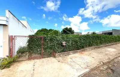 Terreno à venda na Rua João Gerônimo Perinetti, Ao Lado Da Casa 55, 97, Jardim Cavallari, Marília