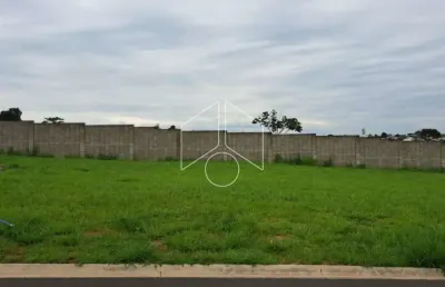 Terreno à venda na Avenida João Procópio da Silva, 55, Jardim Esmeralda, Marília