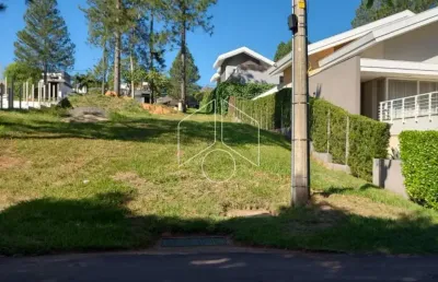 Terreno à venda na Avenida das Grevilhas, 197, Marília, Marília