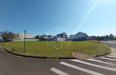 Terreno à venda na Avenida Antônio Borella, Quadra 16, 10287, Jardim São Domingos, Marília