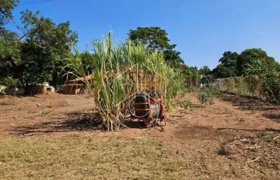 Terreno à venda na Avenida das Acácias, 96, Avencas (Avencas), Marília
