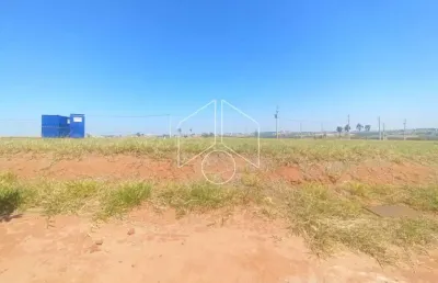 Terreno / dentro de condomínio - venda - residencial | jardins do ipê