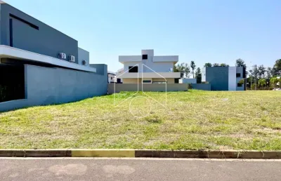 Terreno à venda na Avenida Antônio Borella, Quadra 10, 10289, Jardim São Domingos, Marília
