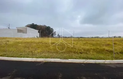 Terreno à venda na Magali Aparecida Pinha Amaral Alonso, Casa, 63, Centro, Marília