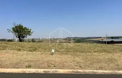 Terreno à venda na Avenida João Procópio da Silva, 100, Jardim Esmeralda, Marília