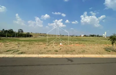 Terreno à venda na Avenida João Procópio da Silva, 79, Jardim Esmeralda, Marília