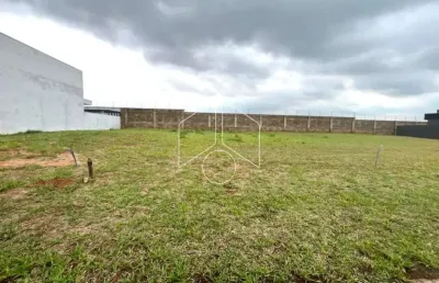 Terreno à venda na Avenida Doutor José Guimarães, 72, Residencial Villa Flora Aquarius, Marília