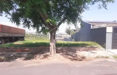Terreno à venda na Rua Benedicto Nery De Barros, Ao Lado Do 349, 60, Jardim Acapulco, Marília