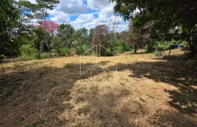 Chácara / sítio à venda na Rodovia Dona Leonor Mendes De Barro K 321 Sitio Recreio Querencia, Próximo Ao Monte Cristo, 30592, Área Rural de Marília, Marília