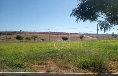 Terreno à venda na Rua Magali Aparecida Pinha Amaral Alonso, 82, Parque das Flores, Marília