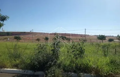 Terreno à venda na Rua Magali Aparecida Pinha Amaral Alonso, 68, Parque das Flores, Marília