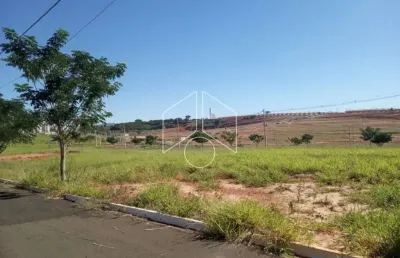 Terreno à venda na Rua Magali Aparecida Pinha Amaral Alonso, 80, Parque das Flores, Marília