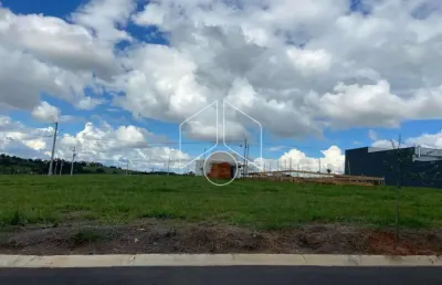 Terreno à venda na Avenida dos Miosótis, 86, Avencas (Avencas), Marília