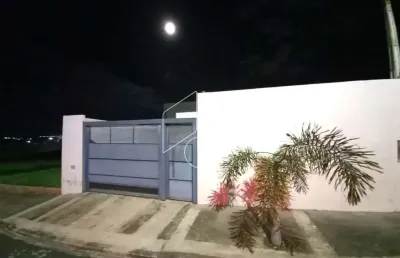 Casa com 5 quartos à venda na Rua Francisco Gotuzo Filho, Casa De Esquina, 50367, Sérgio Roim (Padre Nóbrega), Marília