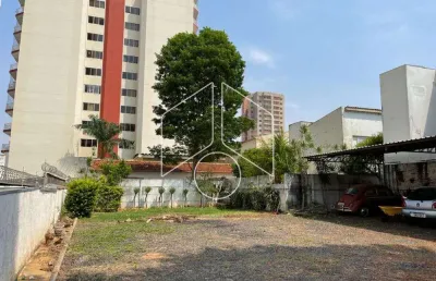 Terreno comercial à venda na Avenida Sampaio Vidal, 36-a / 48-a, 63, Centro, Marília