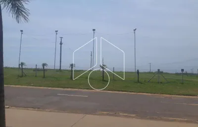 Terreno comercial à venda na Rodovia Comandante João Ribeiro De Barros, Esquina Com Rua Irineu Martins, 80, Centro (Lácio), Marília