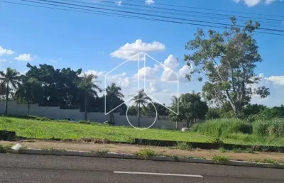 Terreno comercial à venda na Avenida Warner Gomes Fernandes, 100113, Parque das Esmeraldas, Marília