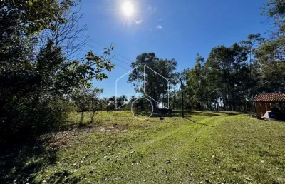 Chácara / sítio à venda na Rodovia Transbrasiliana - Sp 333, 30176, Área Rural de Marília, Marília