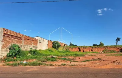 Terreno comercial à venda na Avenida Eliezer Rocha, 50, Jardim Santa Antonieta, Marília
