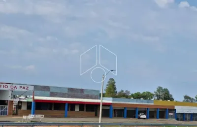 Chácara / sítio com 15 quartos à venda na Avenida Pedro Antonio Redondo, 100086, Jardim Trieste Cavichioli (Padre Nóbrega), Marília