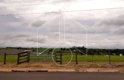 Terreno comercial à venda na Rua José De Abreu Neto, 0, 64, Parque das Esmeraldas II, Marília