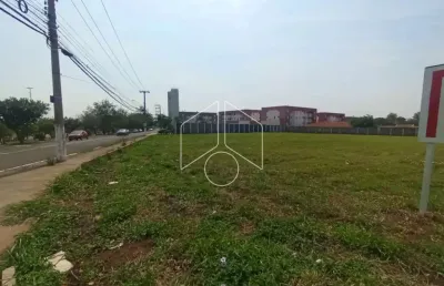Terreno comercial à venda na Rua Doutor Rodrigo Argollo Ferrão, 74, Jardim Morumbi, Marília