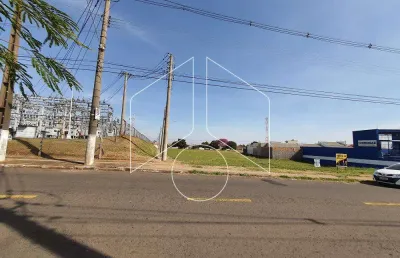 Terreno comercial à venda na Avenida Doutor José Guimarães Toni, 54, Jardim América, Marília