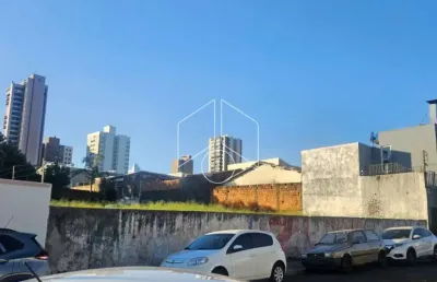 Terreno comercial à venda na Rua Oscar Leopoldino da Silva, 77, Jardim Dirceu, Marília