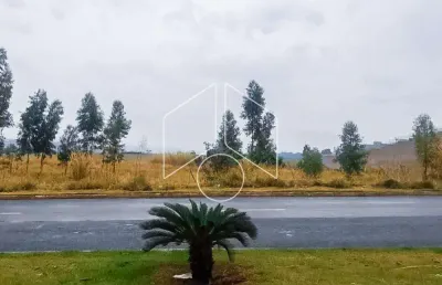 Terreno comercial à venda na Avenida Doutor José Guimarães Toni, 55, Jardim América, Marília