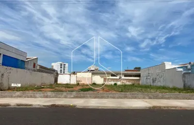 Terreno comercial à venda na Rua Júlio de Mesquita, 83, Jardim Maria Izabel, Marília