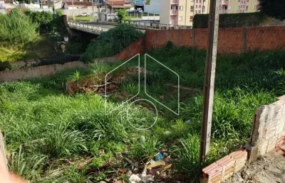 Terreno comercial à venda na Rua Araraquara, 90385, Alto Cafezal, Marília