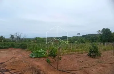 Chácara / sítio à venda na Estância Do Lago, 3, 98, Área Rural de Marília, Marília