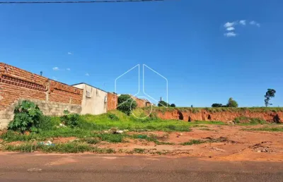 Terreno comercial à venda na Avenida Eliezer Rocha, 59, Jardim Santa Antonieta, Marília
