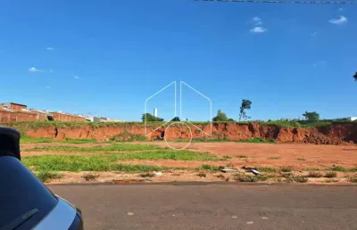 Terreno comercial à venda na Avenida Eliezer Rocha, 61, Jardim Santa Antonieta, Marília
