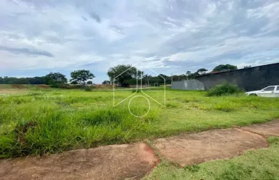 Terreno comercial à venda na Rua Honório Queiros Coutinho, 56, Residencial Vida Nova Maracá (Padre Nobrega), Marília