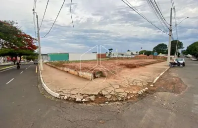 Terreno comercial à venda na Rua Carlos Tosin, 57, Distrito Industrial, Marília