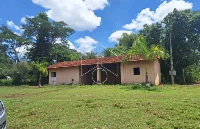 Chácara / sítio à venda na Sitio Esperança - Nucleo Colonização Faz. Santa Helena, 65, Área Rural de Marília, Marília