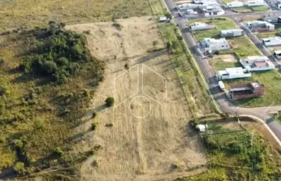 Terreno comercial à venda na Rua Otaviano Martins, Final Da Rua, 69, Sérgio Roim (Padre Nóbrega), Marília