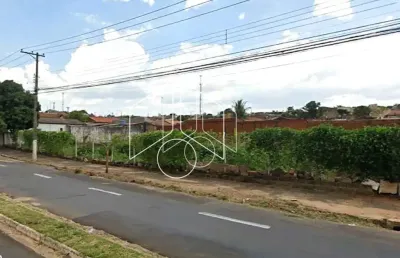 Terreno comercial à venda na Avenida João Martins Coelho, 72, Jardim Santa Antonieta, Marília
