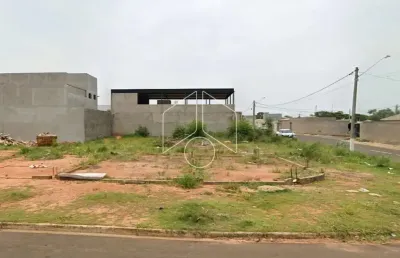 Terreno comercial à venda na Rua Paulo Isaias da Silva, 59, Residencial Vida Nova Maracá (Padre Nobrega), Marília