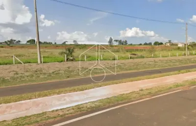 Terreno comercial à venda na Rodovia Comandante João Ribeiro Barros, 30973, Parque Serra Dourada, Marília