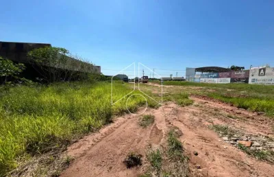 Terreno comercial à venda na Avenida Antonieta Altenfelder, 57, Jardim Santa Antonieta, Marília
