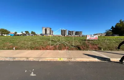 Terreno comercial à venda na Rua dos Ônix, 67, Jardim Maria Izabel, Marília